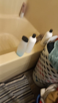 Fun in the Shower