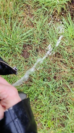 Mear al aire libre bajo la lluvia