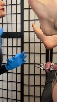 Pigkäfer domina-sex 2: Humbler ficken
