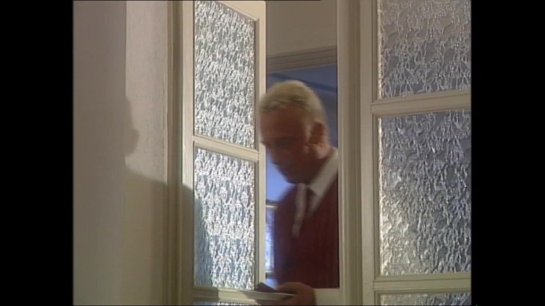 MMV films - The Original: Duitse milf wordt ruw geneukt in het toilet