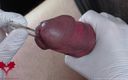 Close Up Extreme: Perfect Extraction of Sperm Directly From the Urethra. Close-up of...