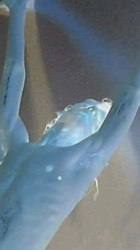Early Self-photography Nude-modeling (2013)
