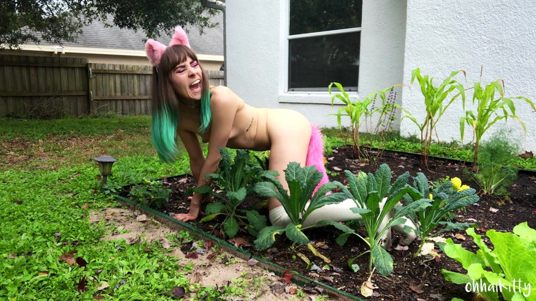 kactus kutie: Kitty Kums v Kale
