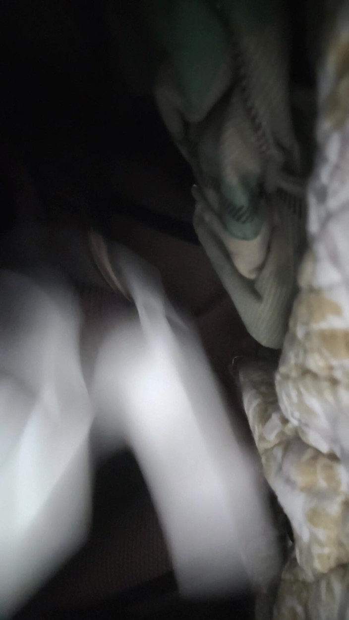 Sissy Alice: ฟิตเพื่อความฟิตใหม่