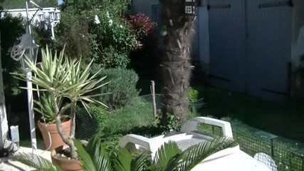 Gaybareback: French slut fucked bareback by straight curious in garden exhibit