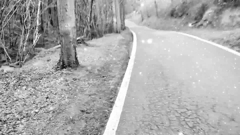 Elvissc: The Zombie Apocalypse Came, I Managed to Escape and It...