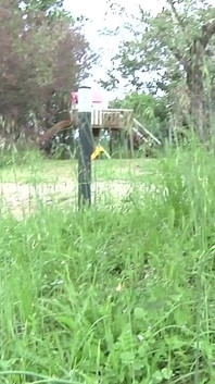 Masked Guy Swallows Piss From Two Blonde Babes and Ateen in the Grass