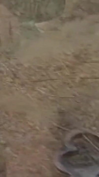 Retro Threesome Fucked Hard with Horny Sluts