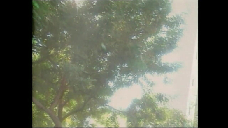 Forte porno TV xxx - (Just the best full movies): Alex E Katie Chupar Uns Aos Outros