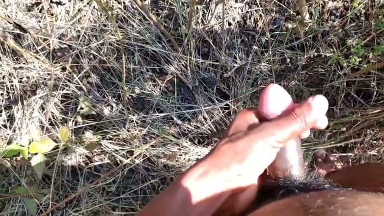 Desi Tits: India folla en la selva - video xxx