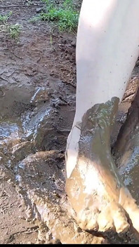 Bosé stříkání a hraní v bahně, špinavé nohy