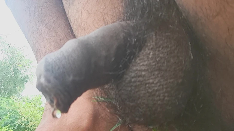 Desi_Porn_India: Моя горячая подборка видео мастурбации в полях.