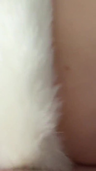 Ein echtes mädchen in einem fuchskostüm ficken, blowjob und gesichtsbesamung