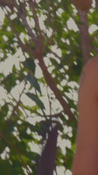 Mdf: Young Couple Enjoying Their Outdoor Fantasies Only for You
