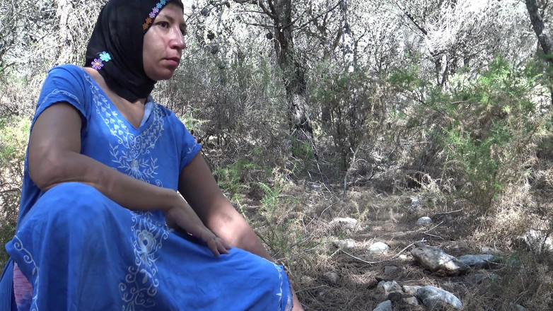 Souzan Halabi: Arabská egyptská manželka chce jen velké ptáky