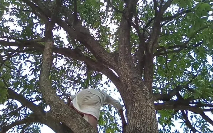 HotboyIndian: Mango Tree and Boy!