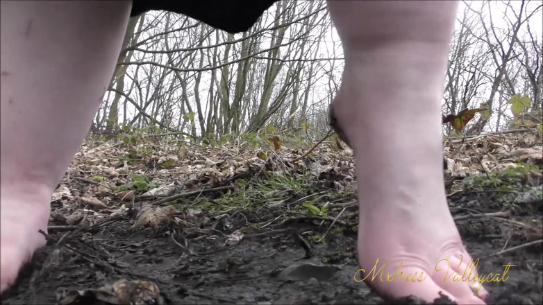 Mxtress Valleycat: Succubus shrinks you in the woods