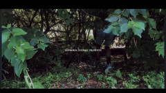 Boy Wonder: 3987809160.mp4