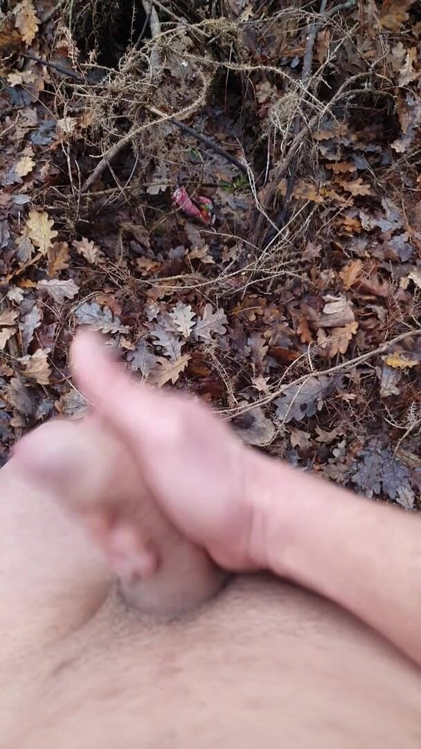 Timmyboy: Timmyboy aku pergi untuk lari di hutan dan aku jadi...