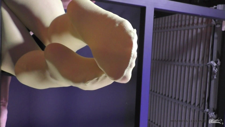 Mistress Legs: Meus pés de nylon acima do seu rosto