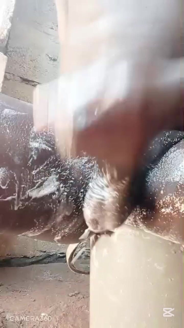 Hongi: Najgorętszy masaż penisa w historii