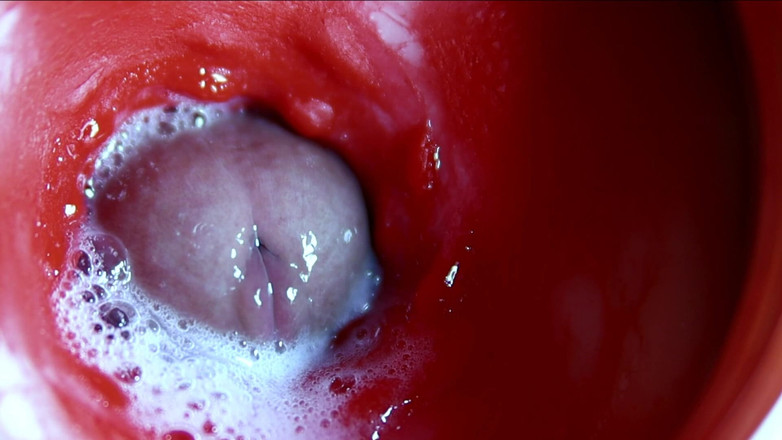 SEXY_GUYBEST: 달콤한 구멍 Asmr 젖은 삐걱 거리는 소리에 정자의 닫기