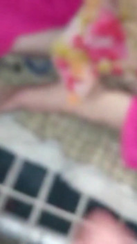 Punjabi Dasi Krásná vysokoškolačka šuká virální sex Hot Dasi Porno
