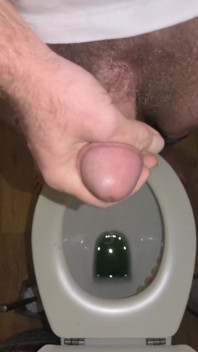To Cum in the Toilet