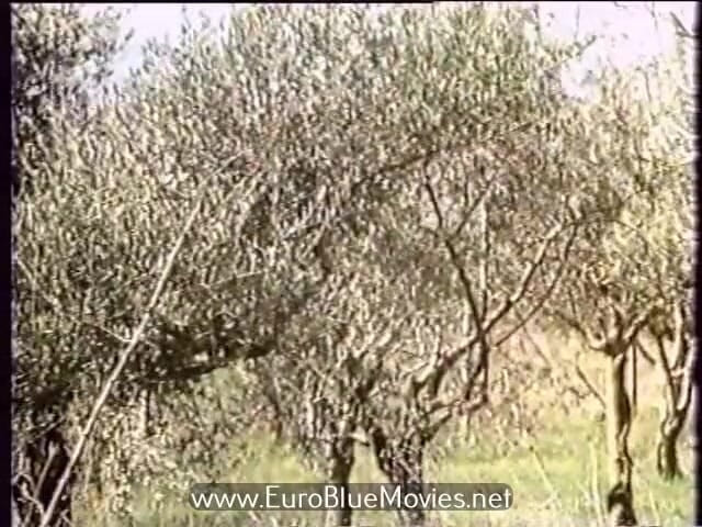 Euro Blue Movies: Любовні пригоди Гізели в Римі (1982) - повний фільм
