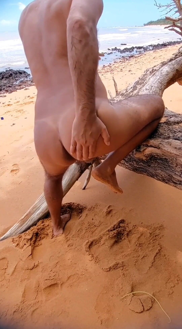 Ladysilvas: Ladysilva