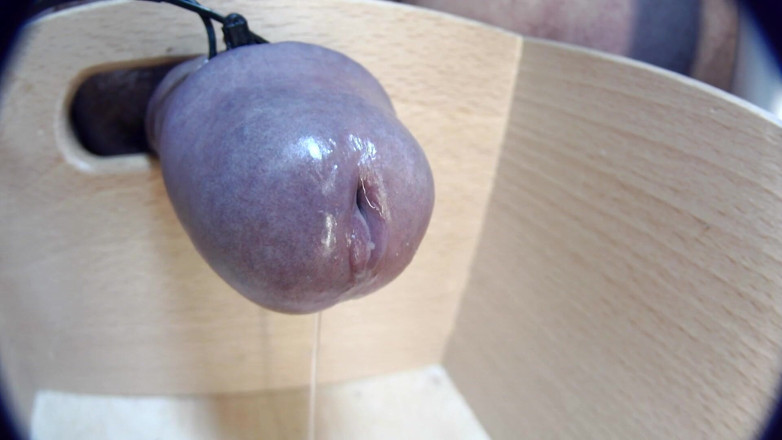 Gaylectrician: Close up cumshot 21-11-12