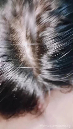 Asian girl videos: 鸡巴在微胖的阴道里