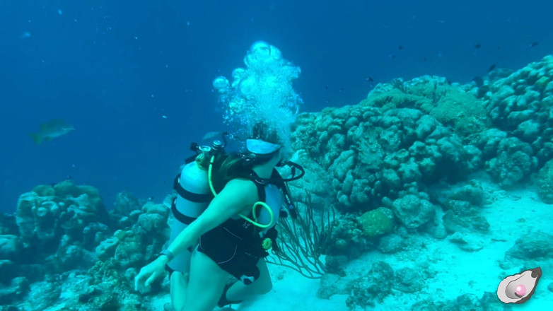 Mistress Pink Pearl: Alleinzeit in Bonaire