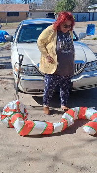 Vicki, Nádherná Sestra, Rozdrtila Tuhle Cukrovou Hůl