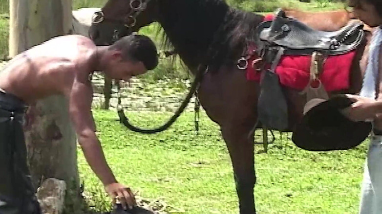 SEXUAL SIN GAY: Gay Ranch Scene-4_gay Latinos berkongkek di padang ladang dan memancut...