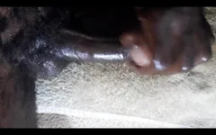 Una enorme sborrata dal kenya una sega in primo piano con un grande cazzo nero