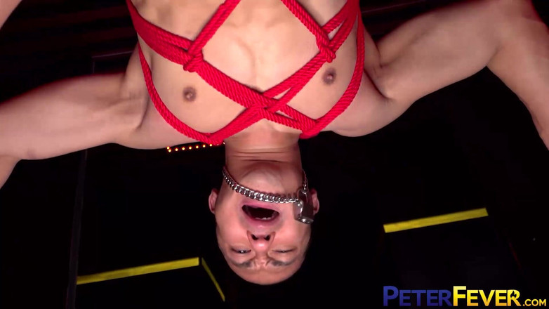 Peter Fever: Peterfever Svázaná v úterý 5 suspendovaná nevíra