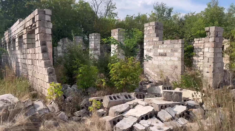 CandyHardEx: Dia tahu apa yang dia hadapi