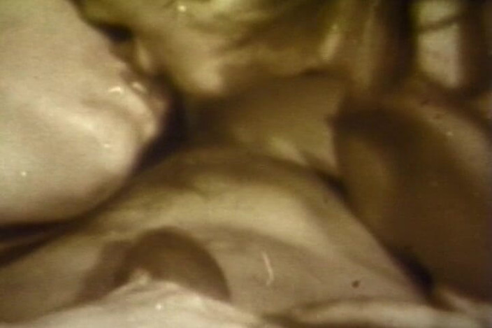 Lovers Of Vintage: Sepia Vintage Cum Guzzlers Drain Every Cock in Group Orgy
