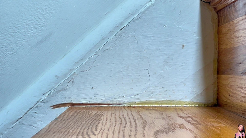 Pink Foxx: 上下楼梯