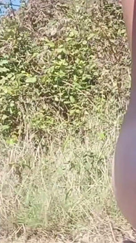 Un Jeune Étalant Ses Fesses Sur La Plage Pendant Que Les Autres Regardent.