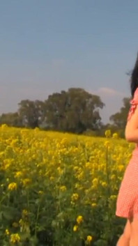 Follada en un campo de trigo