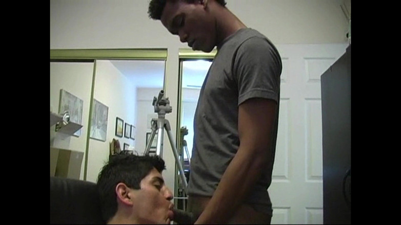 The Great Canadian Male: 자지를 빠는 원소