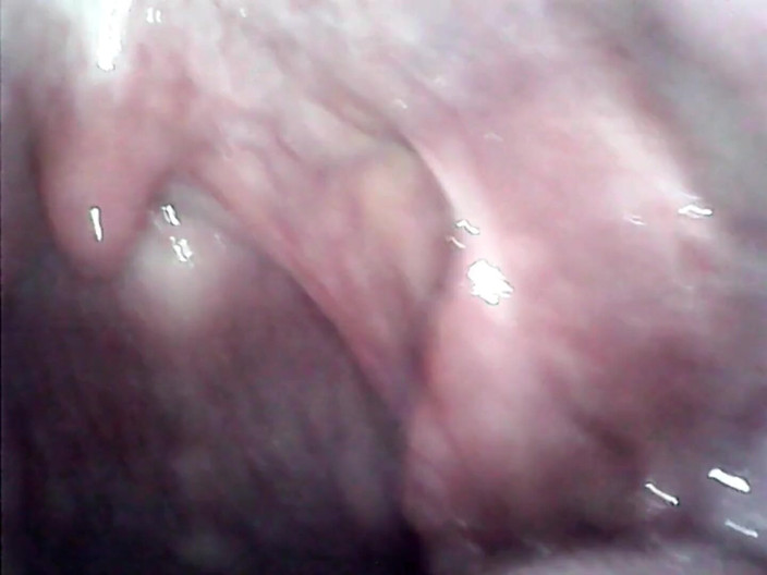 LizAngel: Put it in my mouth up to the balls