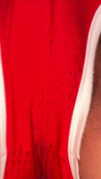 Creampie and Dripping Cum From My Cock