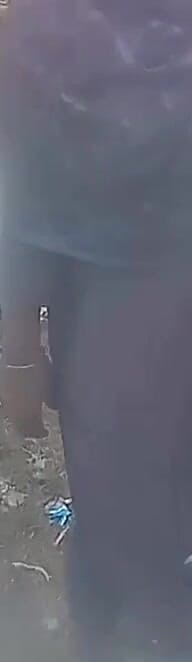 Она спросила, приедет ли автобус... но в итоге скачет с ним
