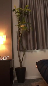 University Student Case Nonoka: Her Desire for Tips, She Opens up to Her First Sugardaddy Experience Vol. 9