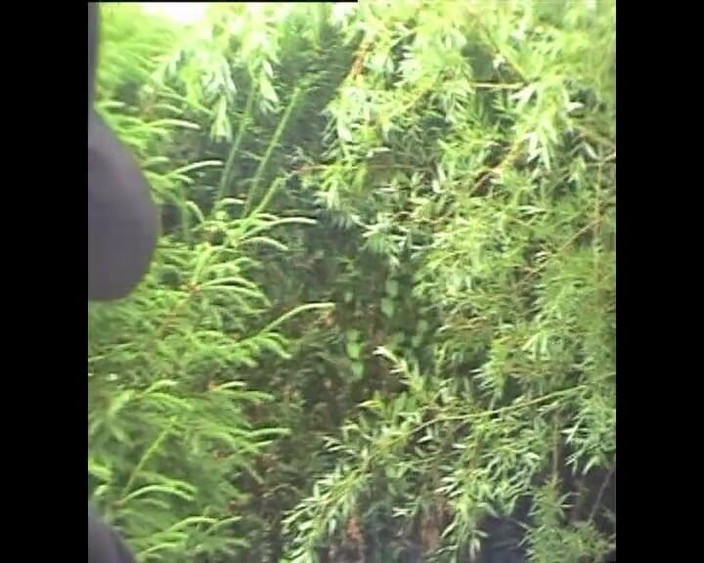 BDSM and co: Sự thống trị BDSM khó khăn cho hai người phục...