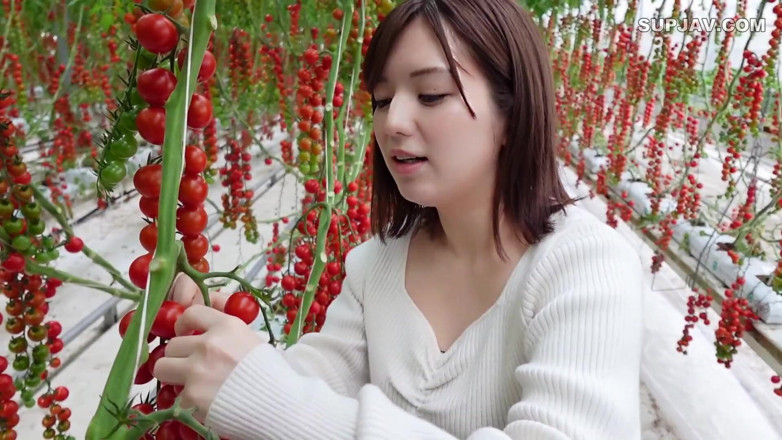 Studio Modern Shunga - JAV: นางฟ้าเอเชีย 7402