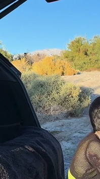 Outside Wildlife Fuck in Car Trunk